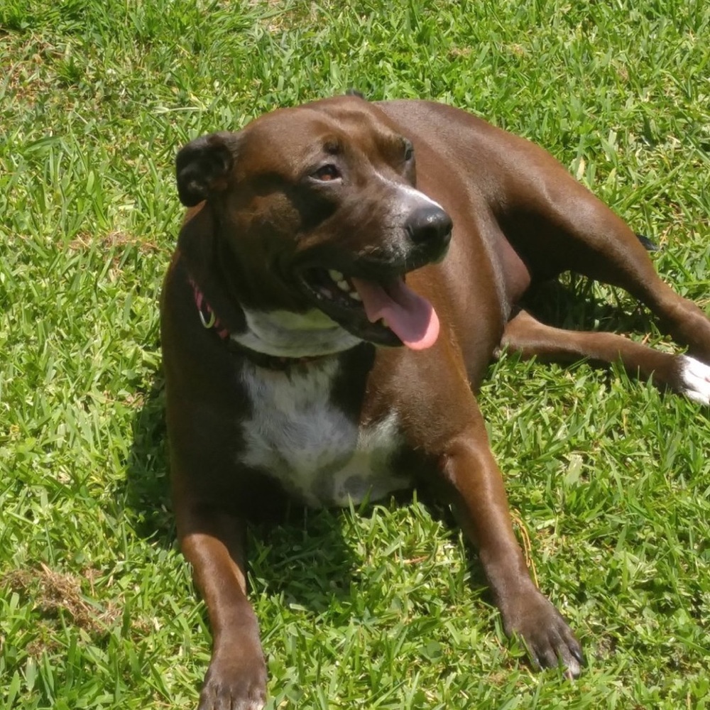 Meet your Posher, Monica